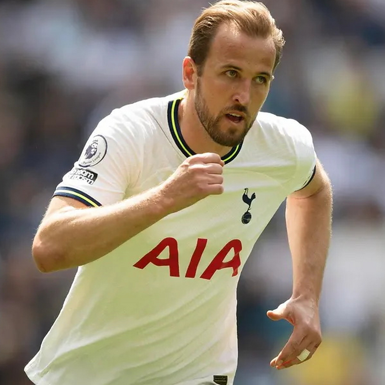 凯恩连续十二场比赛得分超过出色防守，澳大利亚队挑战极限！的简单介绍